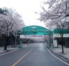 인천대공원 벚꽃축제-여호와의증인 특별 공개증거